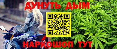 стаф Будённовск