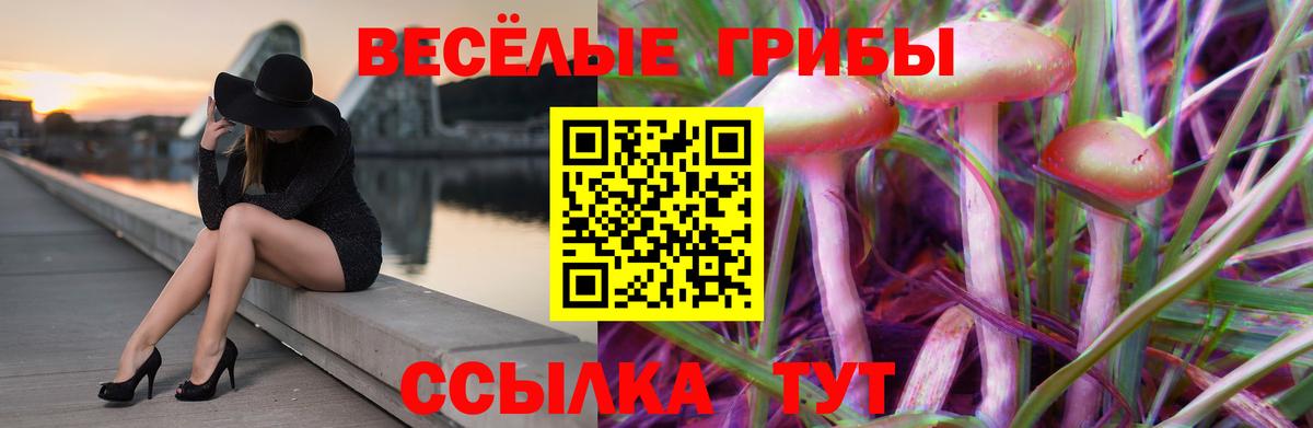 Псилоцибиновые грибы Psilocybine cubensis  Вход с VPN  Мегион  Псилоцибиновые грибы мицелий 