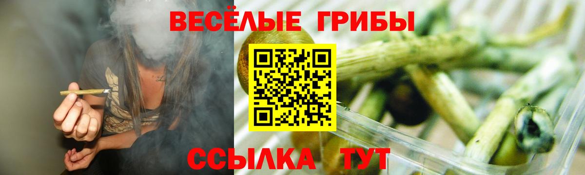 Псилоцибиновые грибы прущие грибы Мегион
